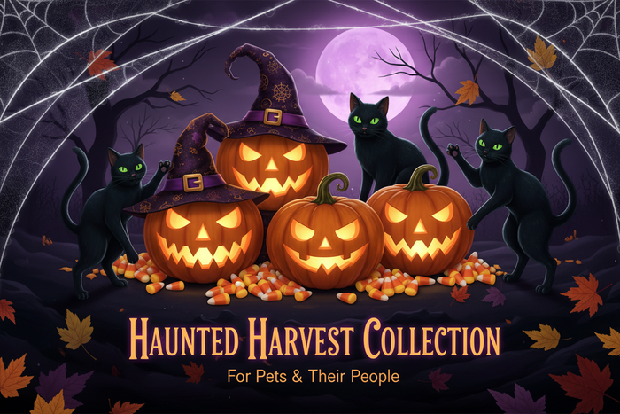 Halloween Stuff