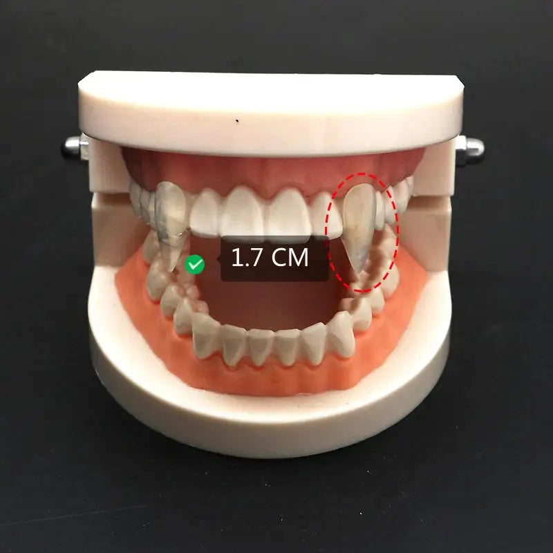 Vampire Fang Dentures & Halloween Costume Props