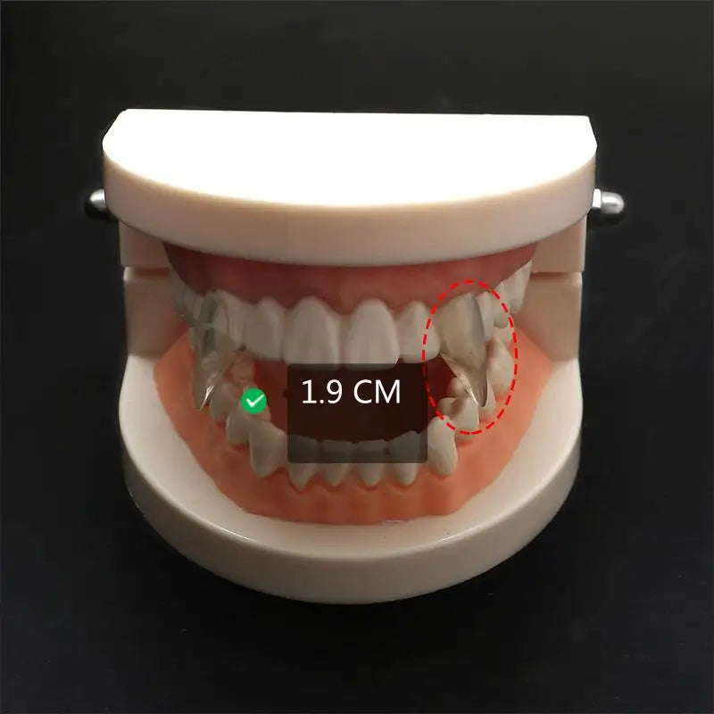 Vampire Fang Dentures & Halloween Costume Props