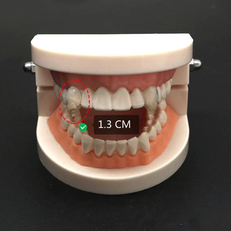Vampire Fang Dentures & Halloween Costume Props