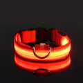 LED Glow Dog Leash & Collar – Nylon Night Safety Flashing
