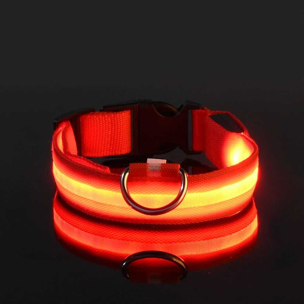 LED Glow Dog Leash & Collar – Nylon Night Safety Flashing