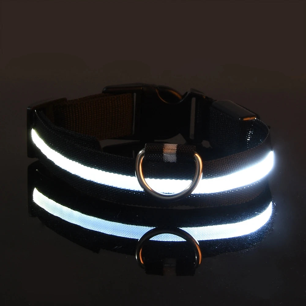 LED Glow Dog Leash & Collar – Nylon Night Safety Flashing
