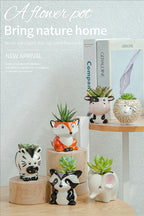 Cute Animal Ceramic Succulent Planter – Balcony & Desktop Home Decor