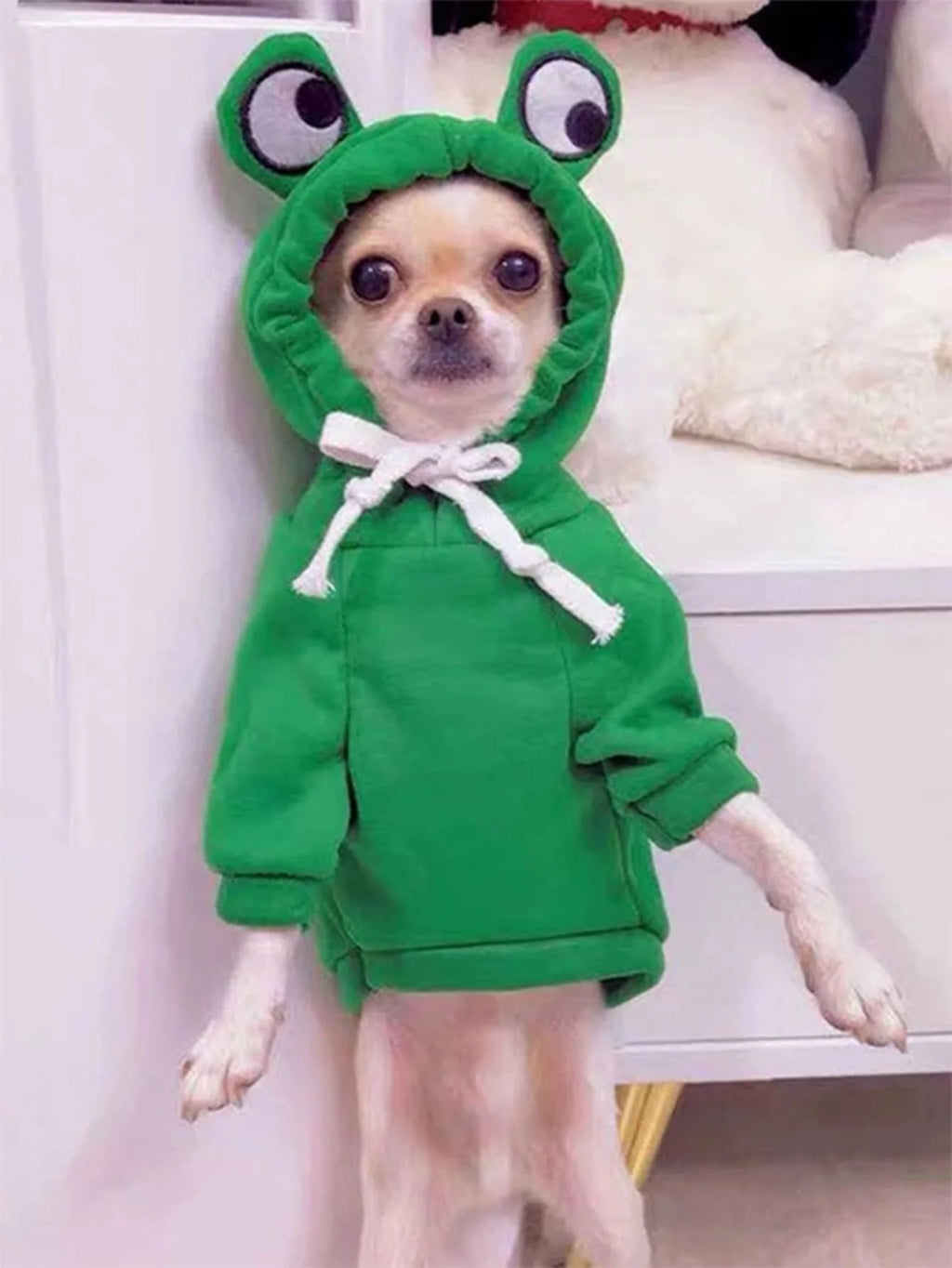 Cute Frog Pet Sweater for Small & Medium Dogs