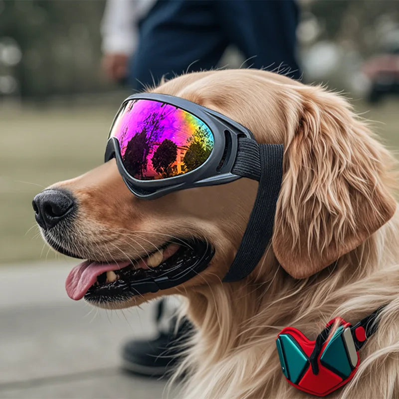 Adjustable Dog Sunglasses / Goggles