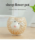 Cute Animal Ceramic Succulent Planter – Balcony & Desktop Home Decor