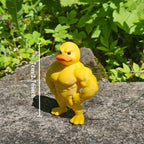 Muscle Duck Statue – Whimsical 3D Figurine for Desk, Shelf & Home Decor