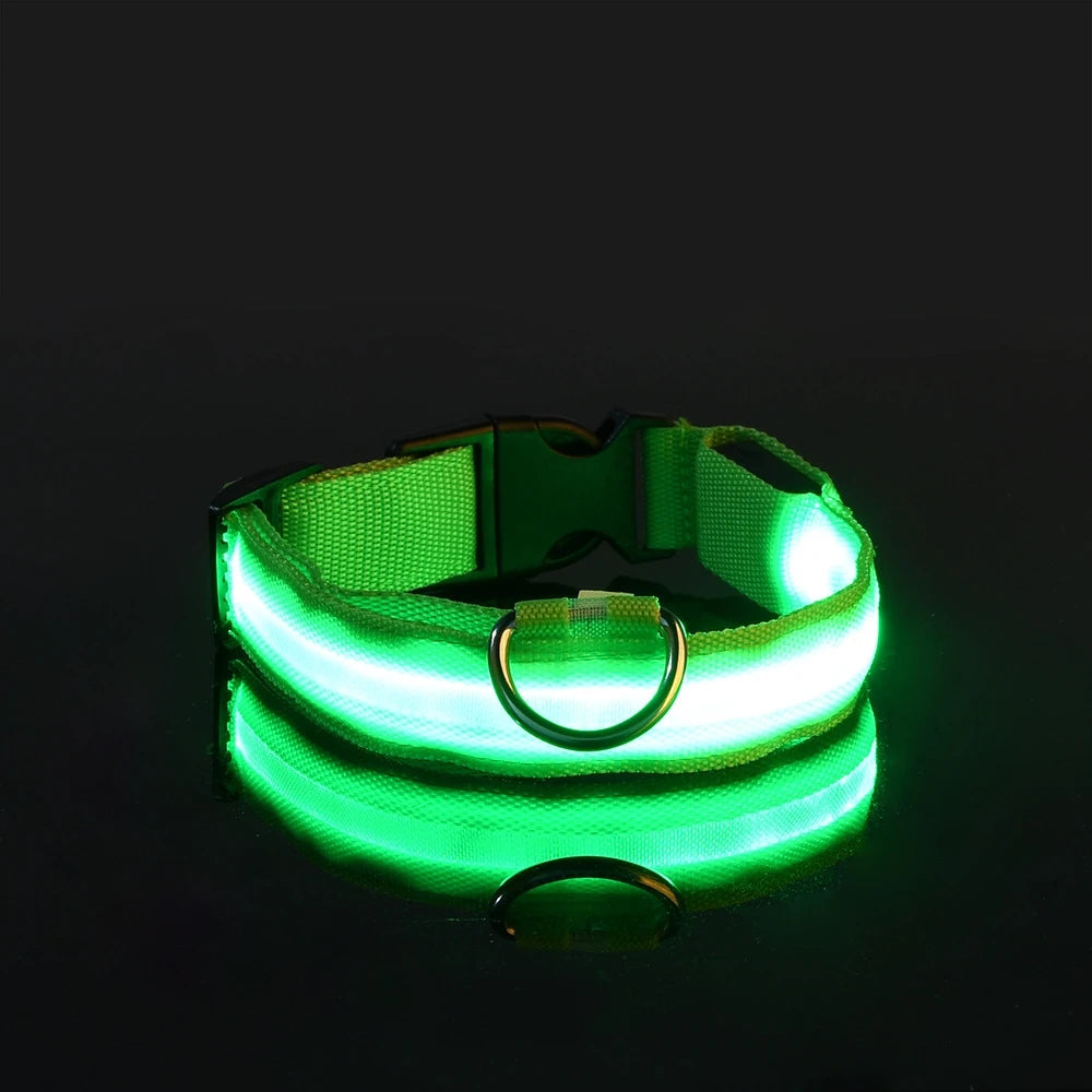 LED Glow Dog Leash & Collar – Nylon Night Safety Flashing