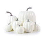 7-Piece Artificial Pumpkin Set – Assorted Farmhouse Fall & Thanksgiving Décor