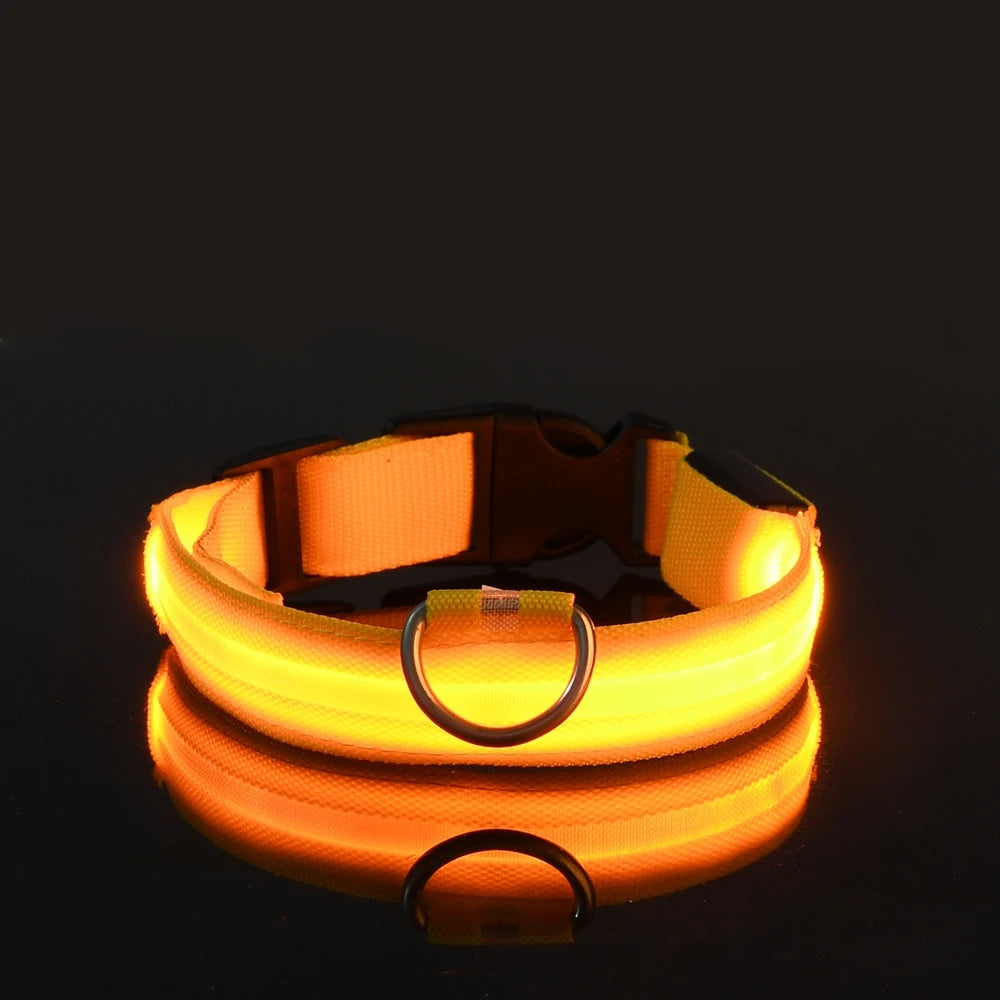 LED Glow Dog Leash & Collar – Nylon Night Safety Flashing