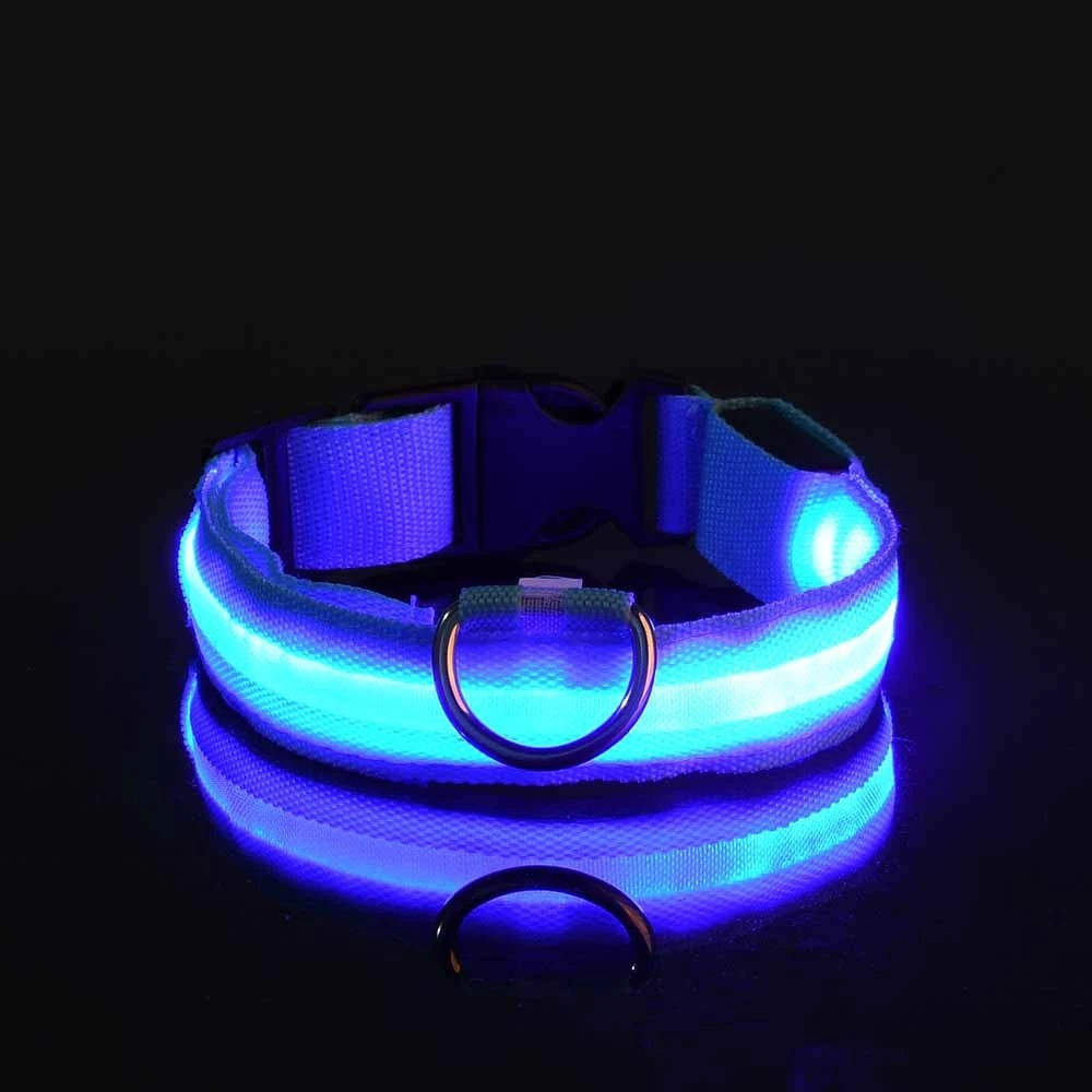 LED Glow Dog Leash & Collar – Nylon Night Safety Flashing