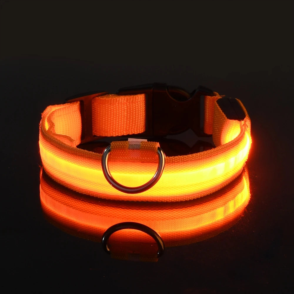 LED Glow Dog Leash & Collar – Nylon Night Safety Flashing