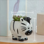 Cute Animal Ceramic Succulent Planter – Balcony & Desktop Home Decor
