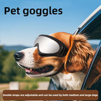 Adjustable Dog Sunglasses / Goggles