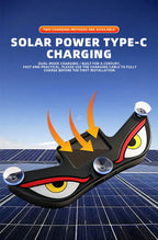Solar Powered Car Eyes