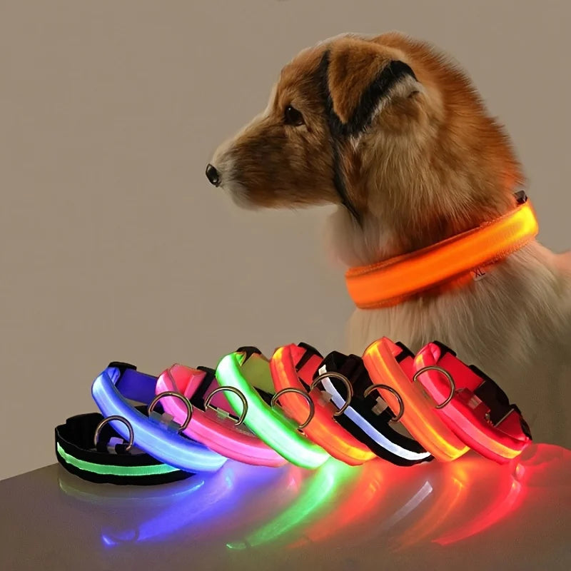 LED Glow Dog Leash & Collar – Nylon Night Safety Flashing