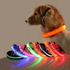 LED Glow Dog Leash & Collar – Nylon Night Safety Flashing