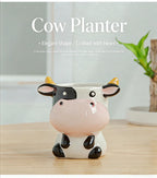 Cute Animal Ceramic Succulent Planter – Balcony & Desktop Home Decor