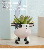 Cute Animal Ceramic Succulent Planter – Balcony & Desktop Home Decor