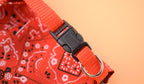 Pet Triangle Scarf