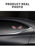 Solar Powered Car Eyes