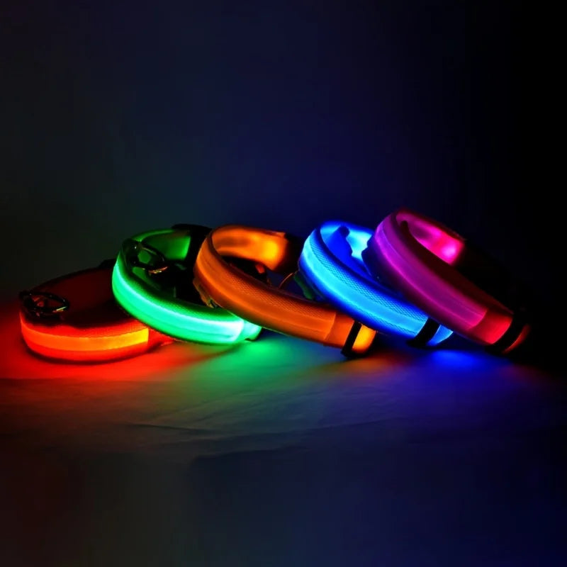 LED Glow Dog Leash & Collar – Nylon Night Safety Flashing