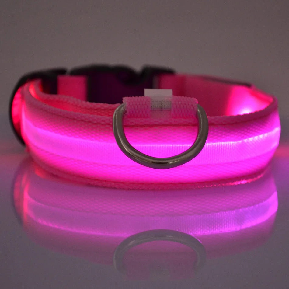 LED Glow Dog Leash & Collar – Nylon Night Safety Flashing