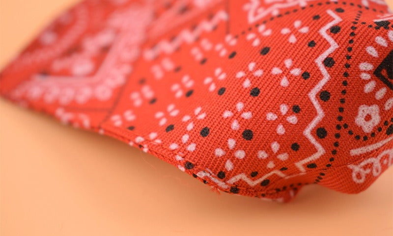 Pet Triangle Scarf