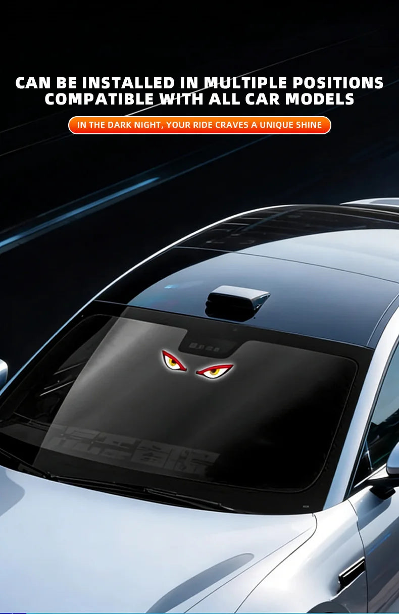 Solar Powered Car Eyes