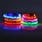 LED Glow Dog Leash & Collar – Nylon Night Safety Flashing