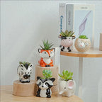 Cute Animal Ceramic Succulent Planter – Balcony & Desktop Home Decor