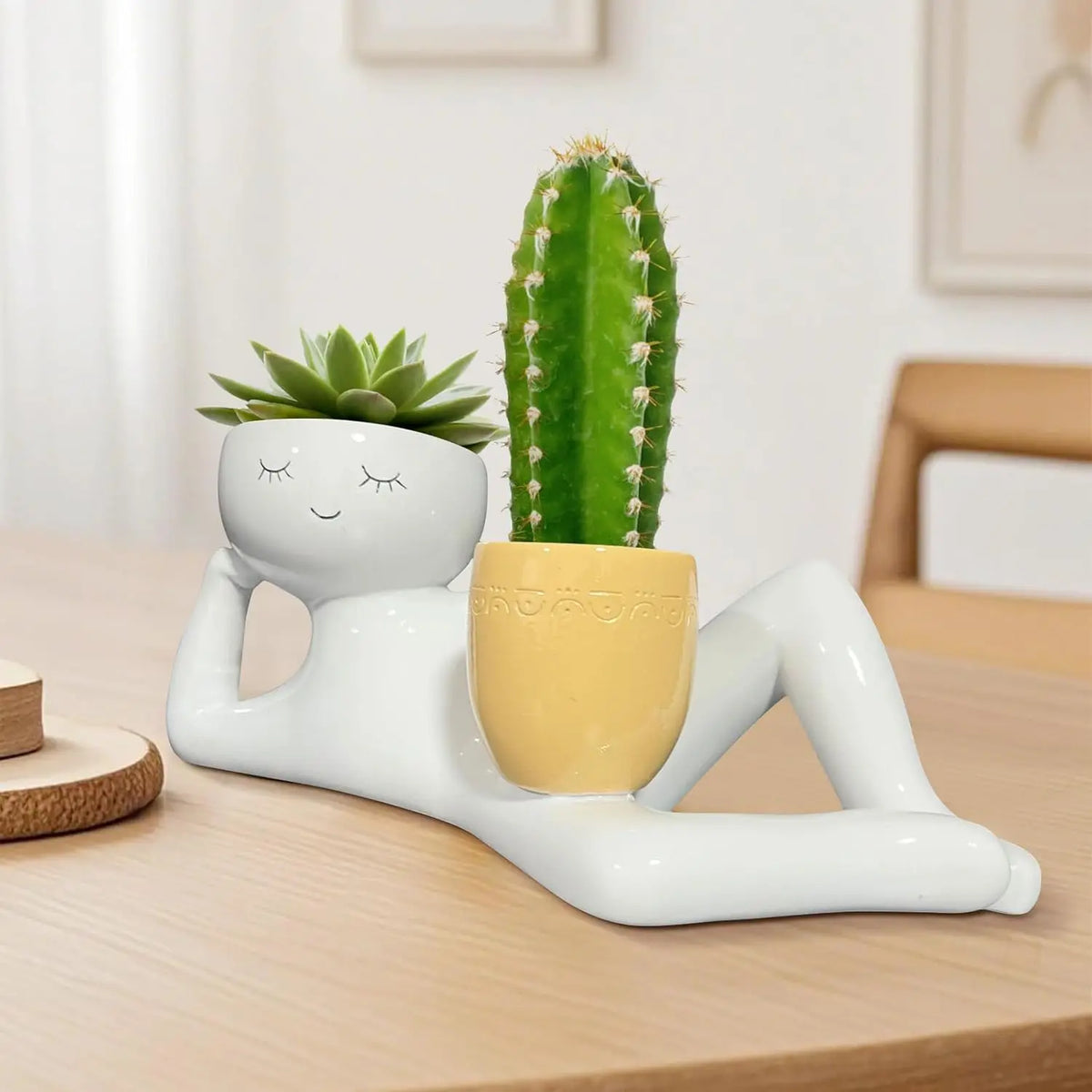 Lazy Little Guy Funny Succulent & Cactus Planter Pot – Home & Desktop Decor