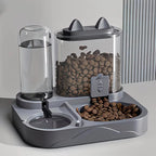 2-in-1 Large Pet Feeder & Water Dispenser