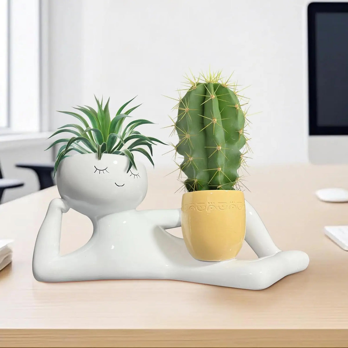 Lazy Little Guy Funny Succulent & Cactus Planter Pot – Home & Desktop Decor