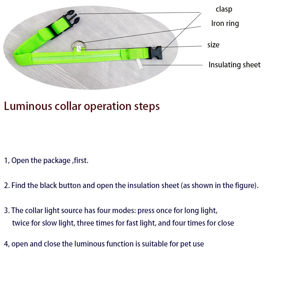 LED Glow Dog Leash & Collar – Nylon Night Safety Flashing