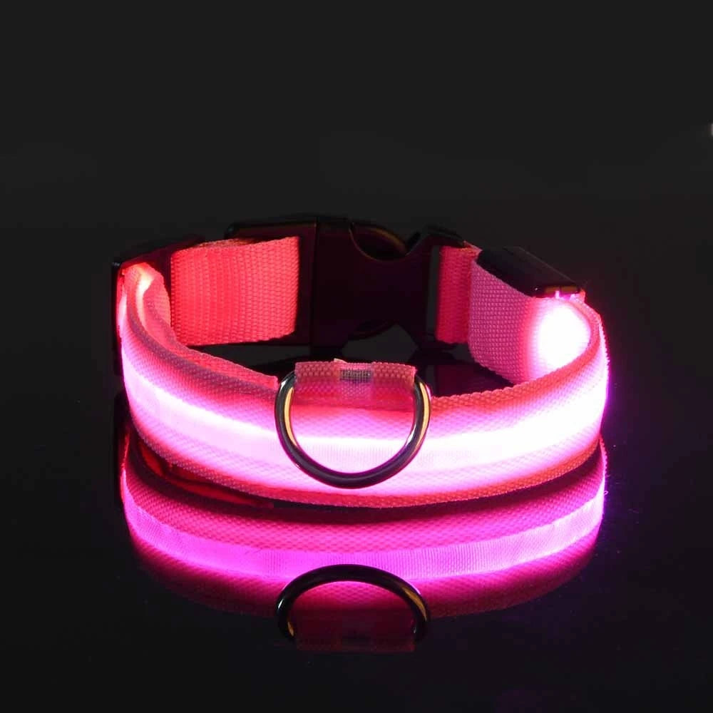 LED Glow Dog Leash & Collar – Nylon Night Safety Flashing