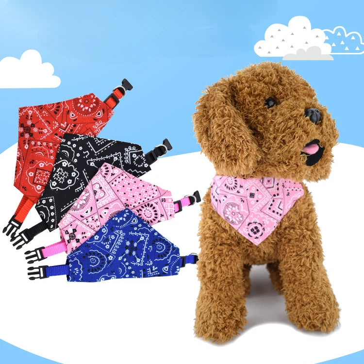 Pet Triangle Scarf