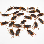 Realistic Fake Cockroaches Prank Pack — Silicone Bug Joke Props for Halloween