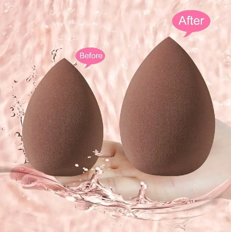 Makeup Brush & Beauty Sponge Set – Multiple Sizes & Colors