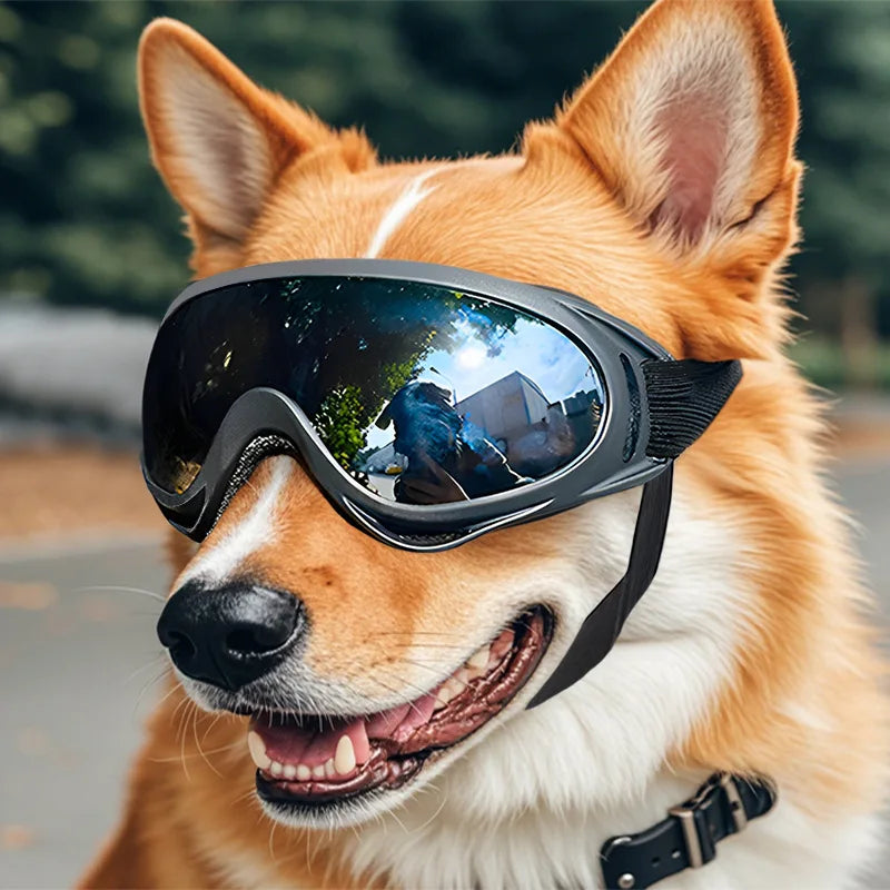 Adjustable Dog Sunglasses / Goggles