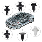 50 or 100pcs Auto Fastener Assortment