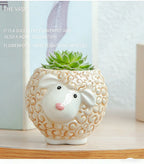 Cute Animal Ceramic Succulent Planter – Balcony & Desktop Home Decor