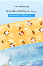 Pet Cooling Mat for Dogs or Cats