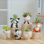 Cute Animal Ceramic Succulent Planter – Balcony & Desktop Home Decor