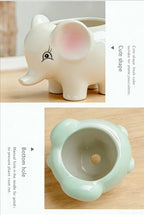 Cute Animal Ceramic Succulent Planter – Balcony & Desktop Home Decor