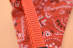 Pet Triangle Scarf