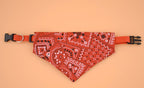 Pet Triangle Scarf